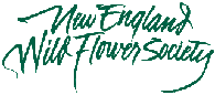 NEWildlogo