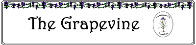 grapevinebanner
